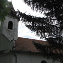 Roman-Catholic church